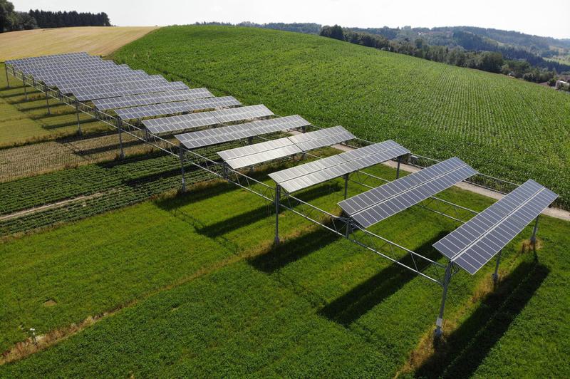 Innowacyjne rozwiązania agrofotowoltaiczne