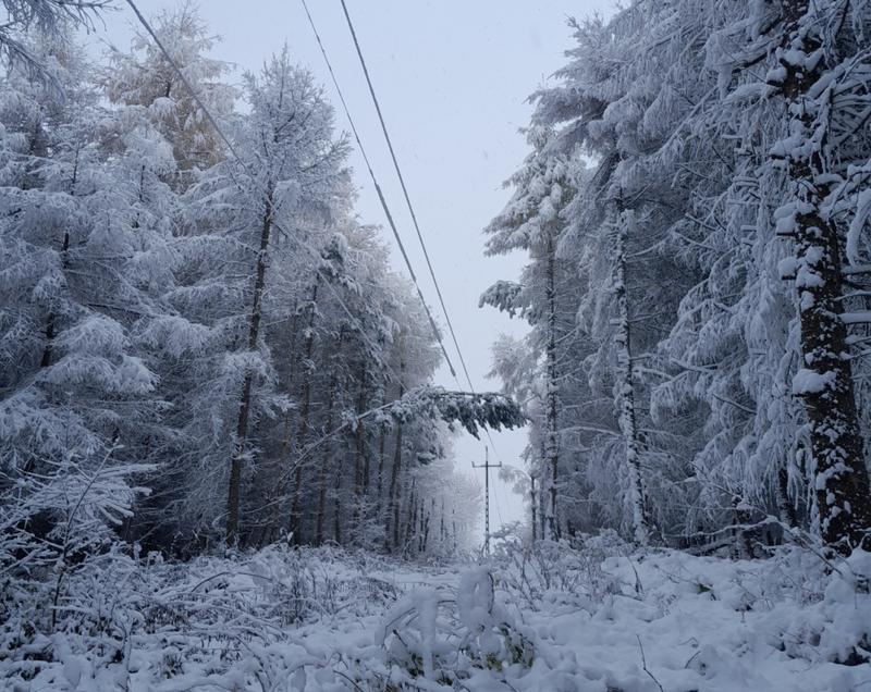 Rozliczenia co dwa miesiące
